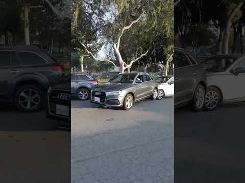 How to Parallel the Park Perfectly! #shorts#magic#zachking