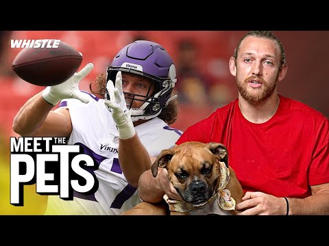 T.J. Hockenson Owes His BREAKOUT Season To…His DOGS!? 🐶