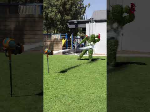 Best revenge idea from Zach #shorts#magic#zachking