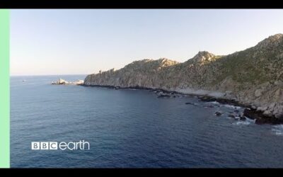 Stunning Coastlines in HD | Our Blue Planet | BBC Earth