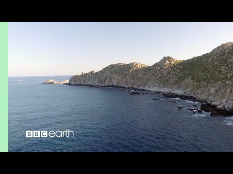 Stunning Coastlines in HD | Our Blue Planet | BBC Earth