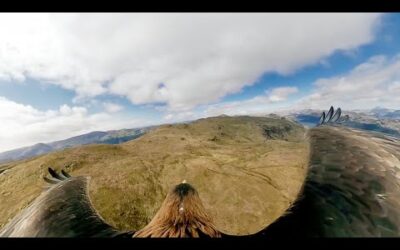 Just How Good is Eagle Vision? | Natural World: Super Powered Eagles | BBC Earth