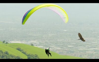 Paragliding Alongside Eagles | Natural World: Super Powered Eagles | BBC Earth