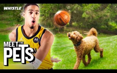Tyrese Haliburton’s MOST IMPORTANT Teammate! 🐶