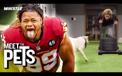 Chase Young’s Favorite Training Partner! 🐶