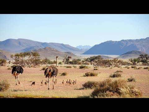 Sir David Attenborough on the Planet Earth series | PlanetEarth III | BBC Earth