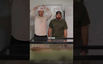 Pet Stereotypes – Full video is LIVE on the Dude Perfect app! 🐶🐇
