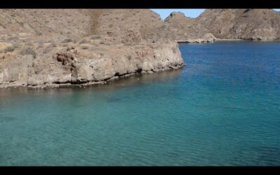 Mexico’s Stunning Desert Landscapes | The Wild Place | BBC Earth