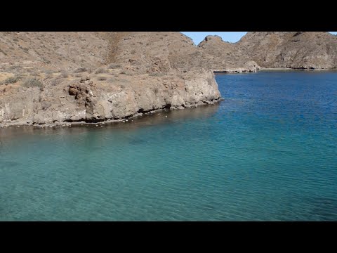 Mexico’s Stunning Desert Landscapes | The Wild Place | BBC Earth