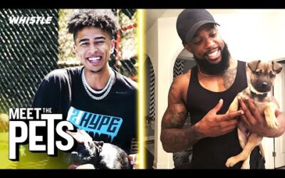 Meet 2Hype’s Most IMPORTANT Members! 🐶