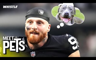 Meet The NFL’s BIGGEST Dog Lovers! 🐶