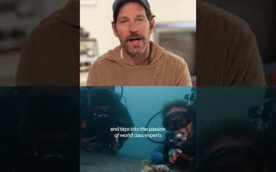 Paul Rudd Narrates Secrets of the Octopus | Nat Geo Wild