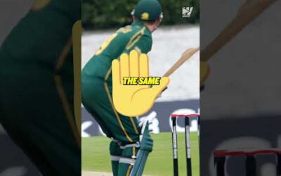 The BEST 30 second cricket explanation you’ll ever get 🔥📝