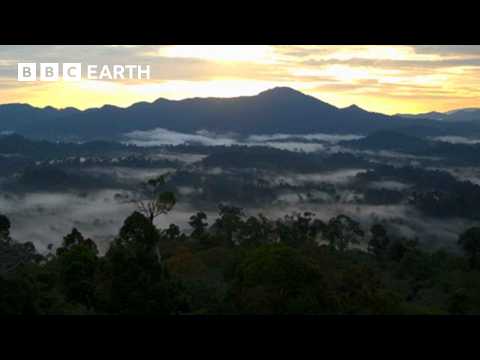 10 Hours of Relaxing Nature Scenes | BBC Earth