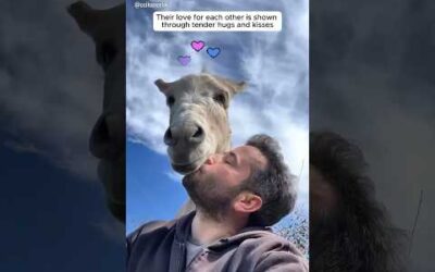 A man and his donkey’s heartwarming friendship #shorts