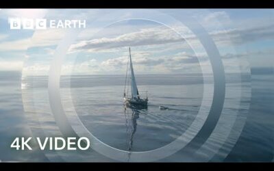 Exploring the Open Ocean | North Atlantic | 4K UHD | BBC Earth