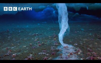 The ‘Finger of Death’ That Freezes Everything It Touches | Earth’s Great Seasons | BBC Earth