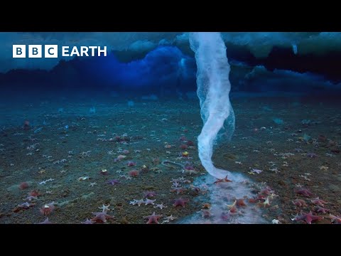 The ‘Finger of Death’ That Freezes Everything It Touches | Earth’s Great Seasons | BBC Earth