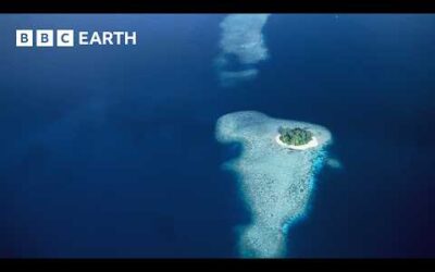 The Mysterious Islands of the South Pacific | BBC Earth