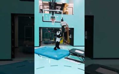 Panda got absolutely POSTERIZED 🐼