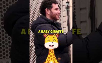 If you were called a baby giraffe, would you take that as a compliment or a roast? 🦒🤔