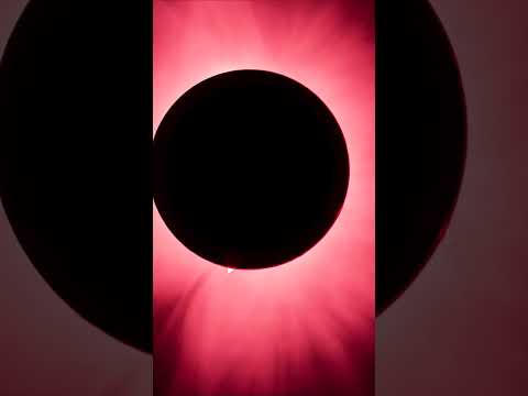 A total solar eclipse with solar flares ☀️ #Eclipse #Shorts #Sun