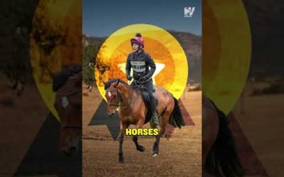 Can 1 Man Beat 100 Horses? 🐴