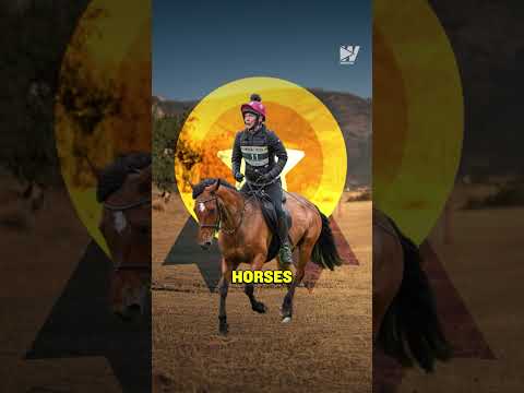 Can 1 Man Beat 100 Horses? 🐴