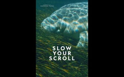 Ever wanted to see things through the eyes of a sea cow? #AmericasNationalParks