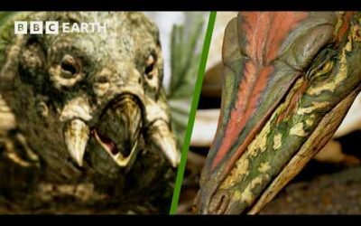 Placerias vs Celophysis: Battle for Triassic Survival | Walking With Dinosaurs 1999| BBC Earth