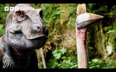 T.rex Ambush | Walking with Dinosaurs | BBC Earth