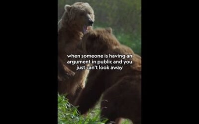 Us and that bear cub 🤝 living for the drama #NatGeoQueens