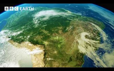 Soothing ASMR Sounds of The Pantanal | Animal ASMR | BBC Earth