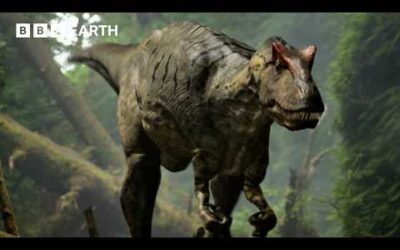 Stegosaurus vs Allosaurus Face Off | Walking With Dinosaurs | BBC Earth