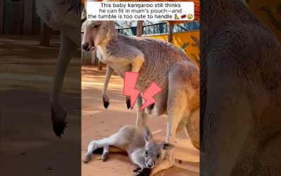 These pure animal moments are too sweet to miss ❤️😊