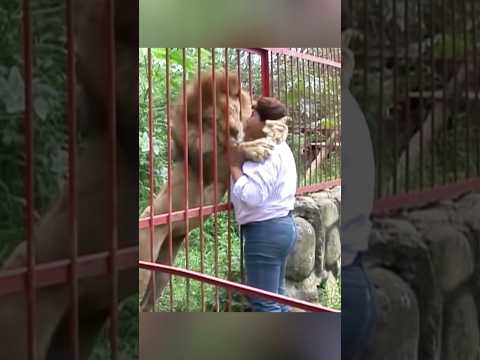 Animals teach us love ❤️ #monkey #lion #elephant #donkey #leopard #rabbit #coyote #bear #deer
