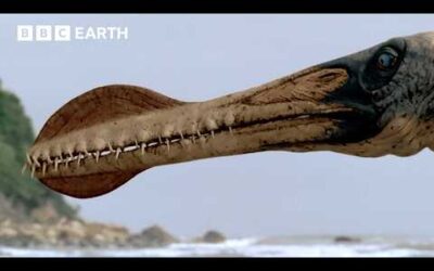 Ornithocheirus Loses His Last Battle Against Time | Walking with Dinosaurs (1999) | BBC Earth