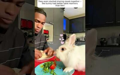 The man found a lonely little rabbit and took it home