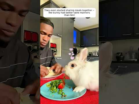 The man found a lonely little rabbit and took it home