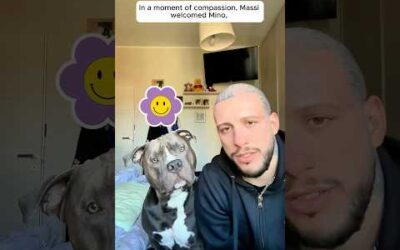 This pitbull struggled with mental illness but everything changed when….