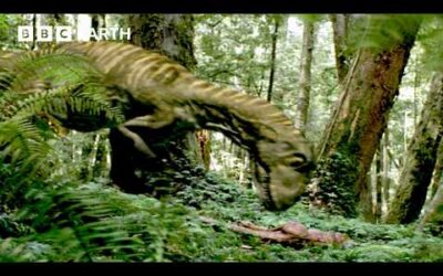 Leaellynasaura Clan Face Devastating Blow | Walking With Dinosaurs (1999) | BBC Earth