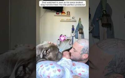 This dog instantly fell for the baby and became her big brother