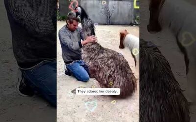This kind man discovered a lone egg and chose to give it life