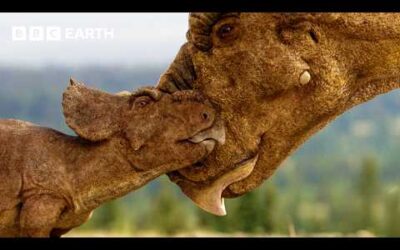 Baby Pachyrhinosaurus Struggles to Survive in the Wilderness | Walking with Dinosaurs | BBC Earth