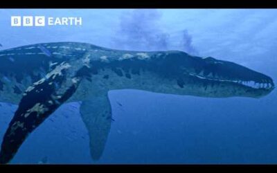 Most Dangerous Birth in Prehistoric Oceans | Walking with Dinosaurs (1999) | BBC Earth