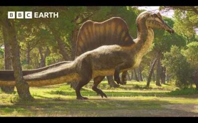 Even Giant Dinosaurs Have a Soft Spot | Walking with Dinosaurs | BBC Earth