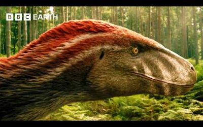 Utahraptors Hunting in the Forest | Walking with Dinosaurs | BBC Earth