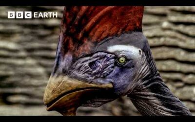 Flying Giants of the Cretaceous | Walking with Dinosaurs (1999) | BBC Earth