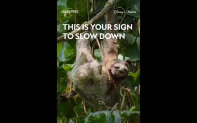 Time to go slothmode. You’ve earned it. #Underdogs