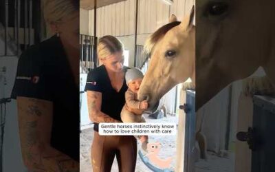 Animal love has no boundaries